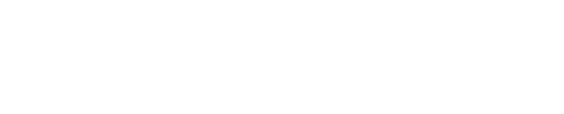CHP+