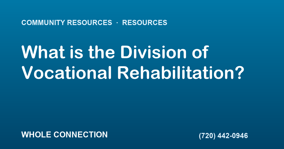 What is the Division of Vocational Rehabilitation?